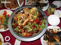 印度阿三的鱼头3-甲21号招待所