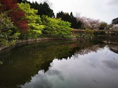 -嘉定紫藤园