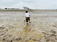 -南汇嘴观海公园