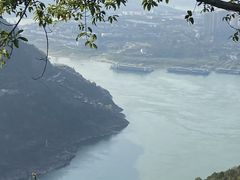 -铁山坪森林公园