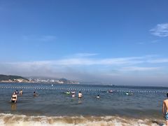 -枸杞岛