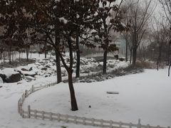 -张店儿童公园