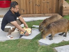 -台山颐和温泉城