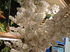 -付掌柜在成都·热炒砂锅集(金禾店)