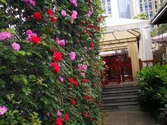 -二荆条·蜀鲜汇城市森林火锅