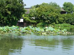 -西溪国家湿地公园