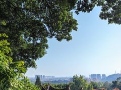 -草庵摩尼教遗址公园