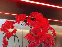 -上海佘山茂御臻品之选酒店(原佘山艾美酒店)