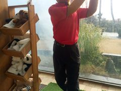 -济州岛泰迪熊博物馆