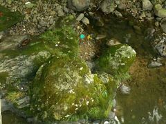 -花溪风景区