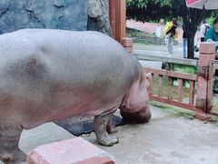 -贵州森林野生动物园