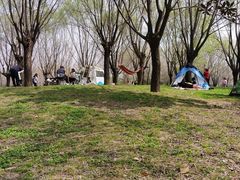 -洨河生态公园