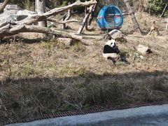 -宁波野生动物园