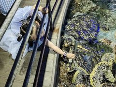 -福州罗源湾海洋世界旅游区