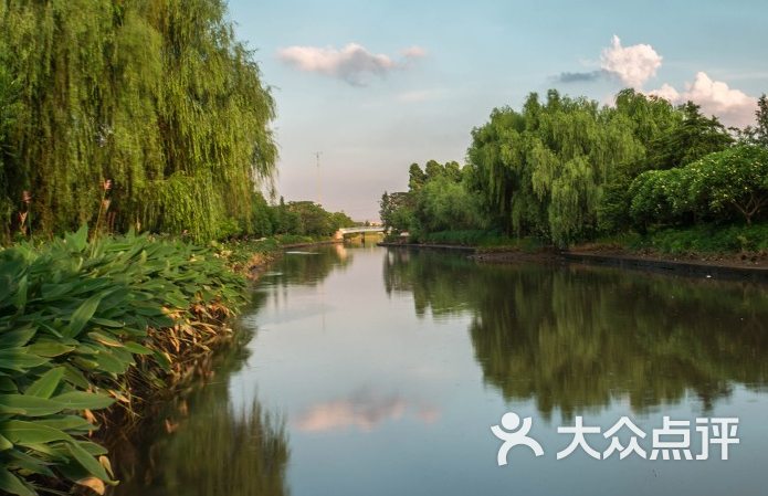 大沙河公園-圖片-深圳周邊遊-大眾點評網