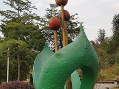 -广东花都湖国家湿地公园