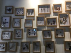 -植物学家的女儿(北马道巷店)