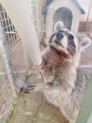 点击看大图 -萌宠亲子动物乐园(槐房万达店)