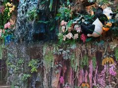 -正佳雨林生态植物园