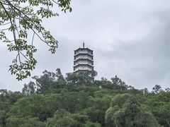 -深圳国际园林花卉博览园