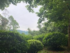 -火炉山森林公园