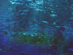 -福州罗源湾海洋世界旅游区