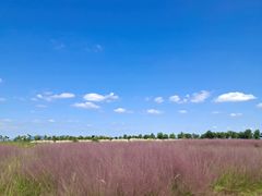 -漩门湾国家湿地公园