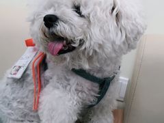 -美联众合动物医院·24h京西诊疗中心