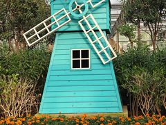 -南宫五洲植物乐园