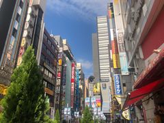 -秋叶原电器街