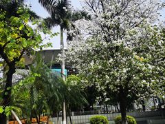 -奥林匹克体育中心游泳馆