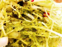 炝拌苦菊-民俗百家姓饭店(纺织城正街店)