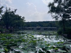 -承德避暑山庄景区