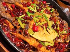 -老板恋上鱼(印象城店)