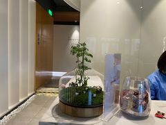 -齐玉齿科JADENTAL
