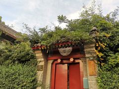 -北京大学百年讲堂