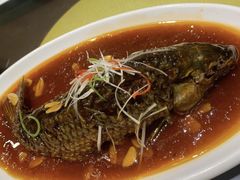 -津菜宋记老房子(鼓楼店)