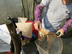 android_upload_pic-北海金海湾红树林生态旅游区