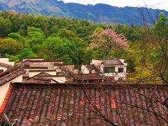 -塔川景区