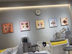 -洗脸猫·洗脸吧
