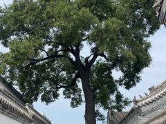 -保定直隶总督署博物馆