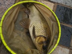 -酷鱼垂钓CLUB(朝阳区博大路店 )