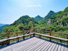 -大岭沟猕猴桃谷风景区