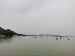 -云龙湖阿喆米线(云龙湖店)