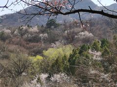 -阳台山自然风景区