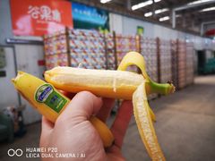 -东方鼎信农副产品交易中心