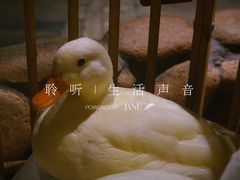 -馬蘭花開(车站大道店)