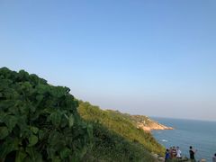 -广东惠东海龟国家级自然保护区
