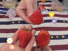 -永泰中国云顶