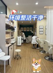 -菩叶脱发白发中心